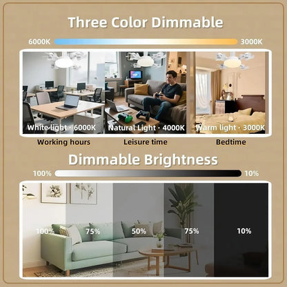 Socket Ceiling Fan with Light & Remote Control